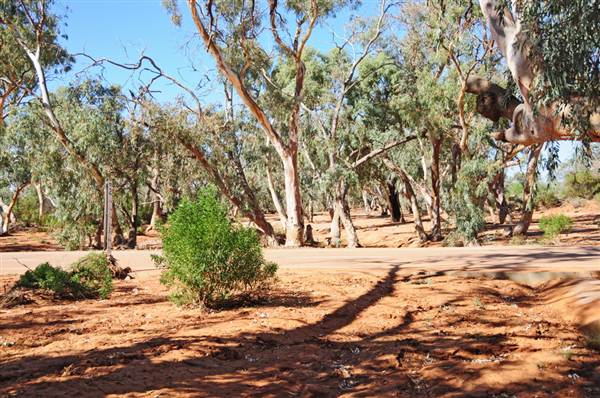 Broken Hill Area (Inc. Silverton) (1/03/2013 8:59:08 PM)