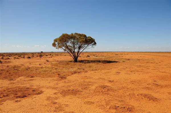 Broken Hill Area (Inc. Silverton) (1/03/2013 8:59:50 PM)