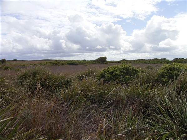 Broughton Island (2/03/2013 3:24:23 PM)