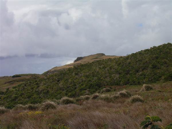 Broughton Island (2/03/2013 3:24:54 PM)