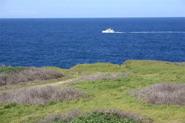 Cape Banks (3/03/2013 8:27:19 AM)