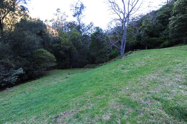 Canyon Park (3/03/2013 8:40:24 AM)