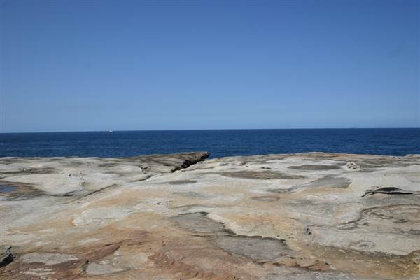Clovelly Bay (3/03/2013 4:34:20 PM)