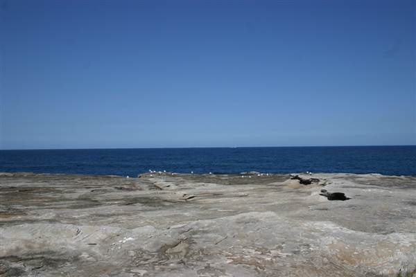Clovelly Bay (3/03/2013 4:35:14 PM)