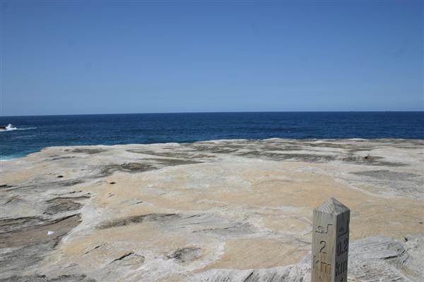 Clovelly Bay (3/03/2013 4:35:42 PM)