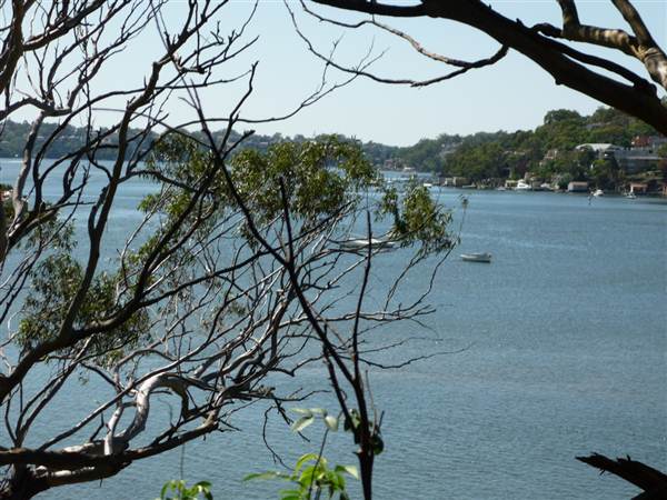 Como (4/03/2013 10:48:16 AM)