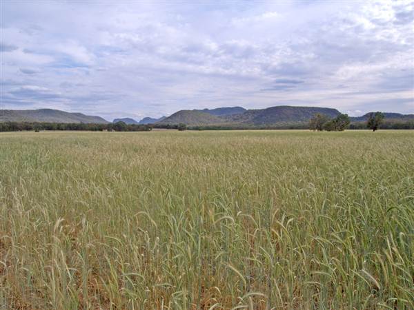 Coonabarabran Area (4/03/2013 11:18:42 AM)