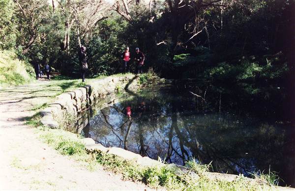 Cooper Park (4/03/2013 11:19:51 AM)