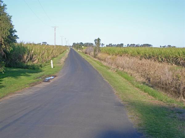 Crops near Ballina (4/03/2013 11:47:00 AM)