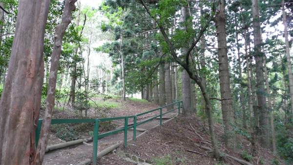 Cumberland State Forest (4/03/2013 12:05:49 PM)