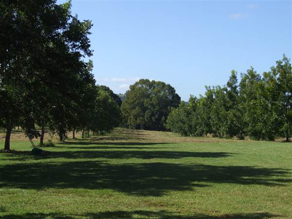 'Eltham Valley Pantry' Nut, Coffee & Olive Farm (4/03/2013 12:28:57 PM)
