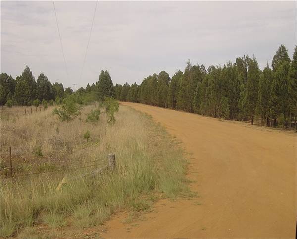 Gilgandra Aerodrome (4/03/2013 4:42:58 PM)