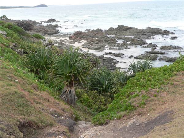 Hastings Point Beach (5/03/2013 12:42:39 PM)