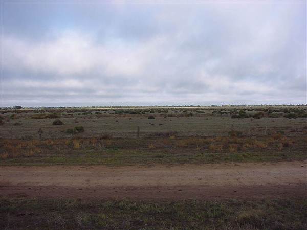Hay Plains (5/03/2013 1:29:29 PM)