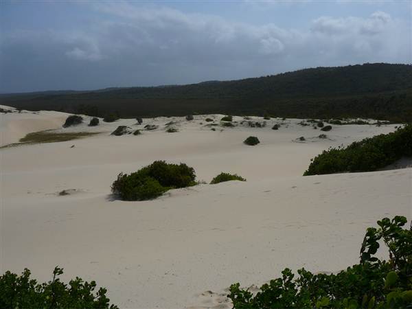 Killick Beach & Sand Dunes - Hat Head National Park (5/03/2013 7:29:28 PM)
