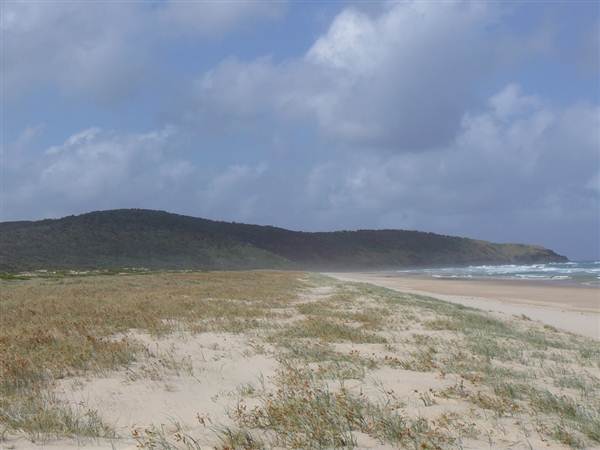 Killick Beach & Sand Dunes - Hat Head National Park (5/03/2013 7:29:53 PM)