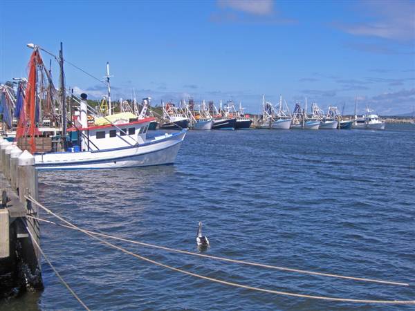 Iluka (5/03/2013 8:33:34 PM)