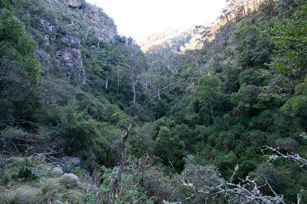 Jenolan Caves (5/03/2013 9:42:38 PM)
