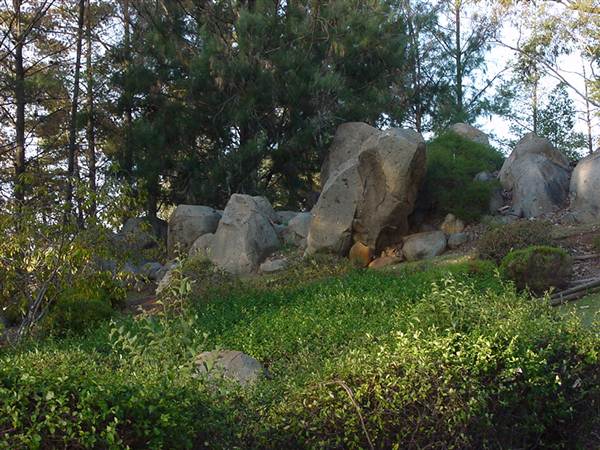 Japanese Gardens Cowra (5/03/2013 10:01:59 PM)