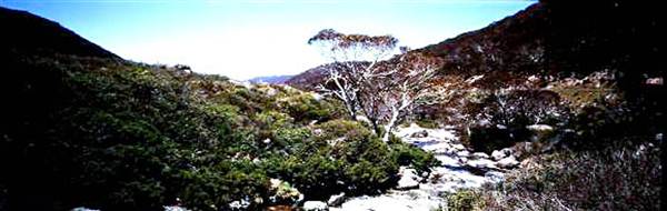 Kosciuszko National Park (6/03/2013 11:28:52 AM)