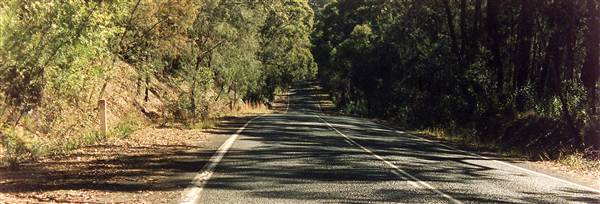 Ku-ring-gai Chase National Park (6/03/2013 11:30:55 AM)