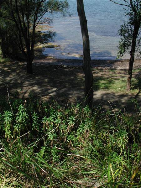 Lake Macquarie (6/03/2013 11:53:39 AM)