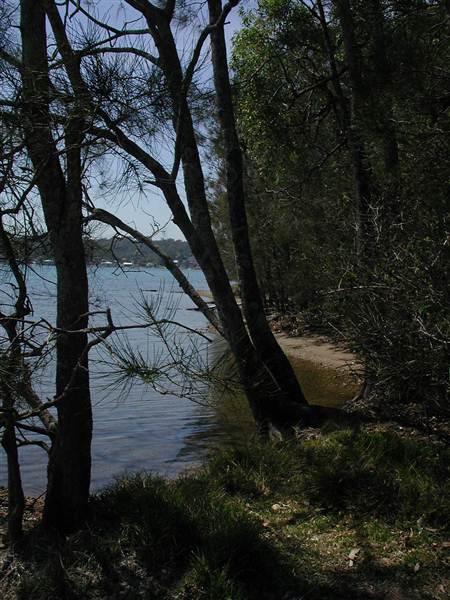 Lake Macquarie (6/03/2013 11:55:21 AM)