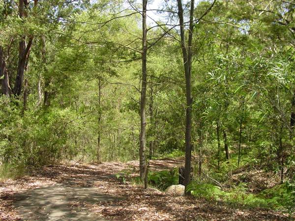 Lane Cove National Park (6/03/2013 12:08:19 PM)