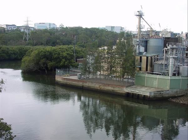 Lane Cove River (6/03/2013 12:08:54 PM)