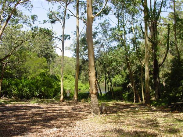 Lane Cove National Park (6/03/2013 12:09:31 PM)