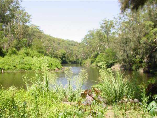 Lane Cove National Park (6/03/2013 12:11:03 PM)