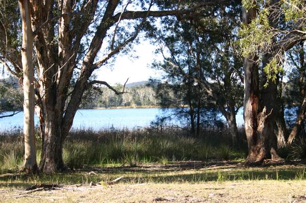 Myall Lakes National Park (6/03/2013 3:25:40 PM)