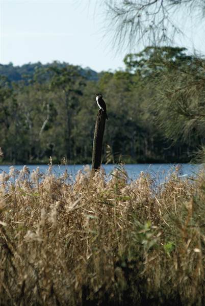 Myall Lakes National Park (6/03/2013 3:29:01 PM)