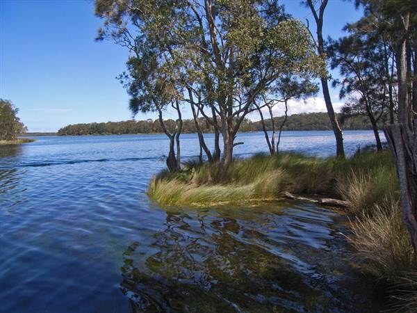 Myall Lakes National Park (6/03/2013 3:29:55 PM)