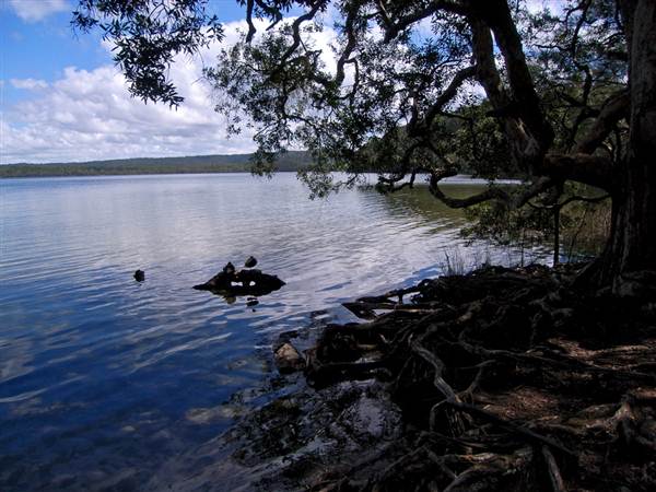 Myall Lakes National Park (6/03/2013 3:30:44 PM)