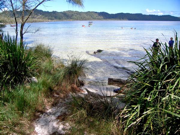 Myall Lakes National Park (6/03/2013 3:31:43 PM)