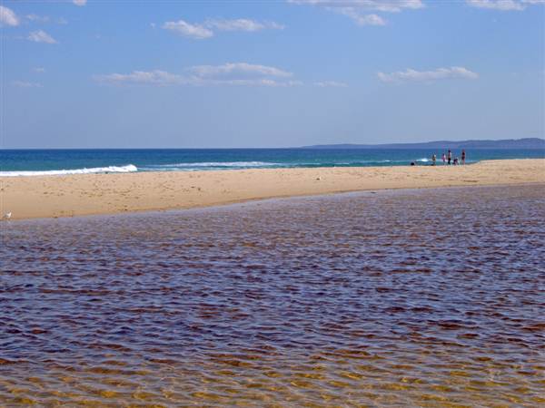 Redhead Beach (6/03/2013 4:13:13 PM)