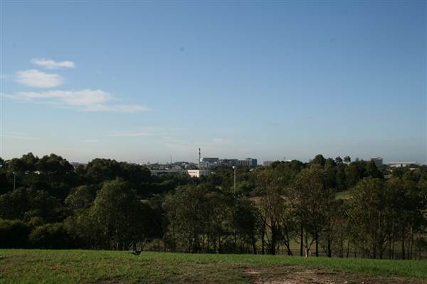 Sydney Park (6/03/2013 4:43:55 PM)