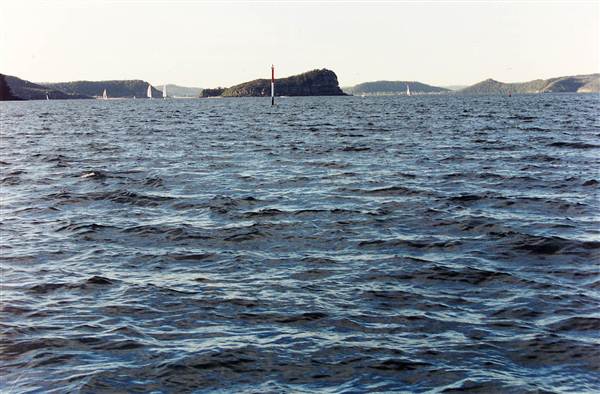 Lion Island (6/03/2013 9:37:19 PM)