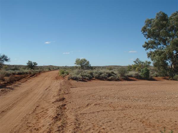 Nine Mile Road, 2012 (7/03/2013 4:18:51 AM)