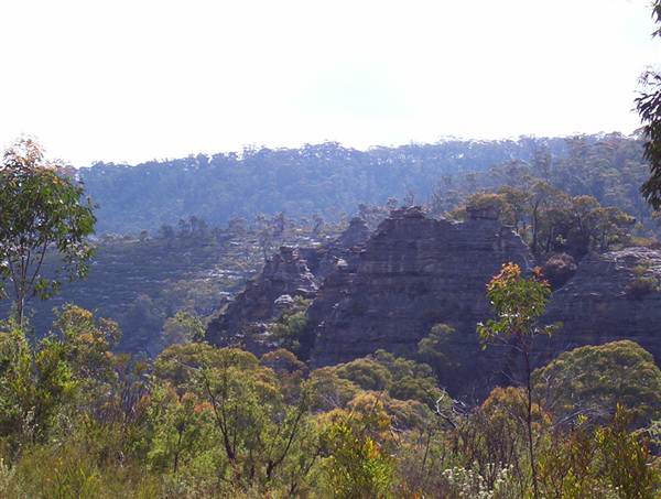 Lithgow Cliffs (7/03/2013 9:40:25 AM)
