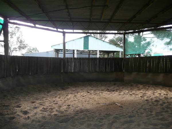 Lomar Park Stud (7/03/2013 10:02:27 AM)