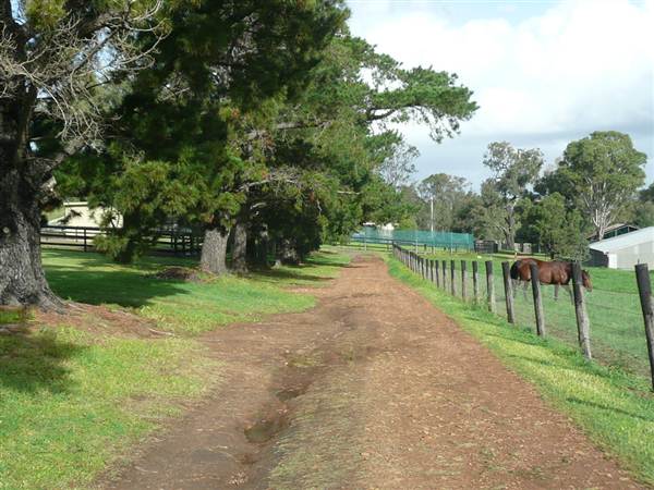 Lomar Park Stud (7/03/2013 10:03:28 AM)