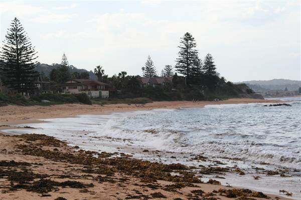 Long Reef Point (7/03/2013 10:25:38 AM)