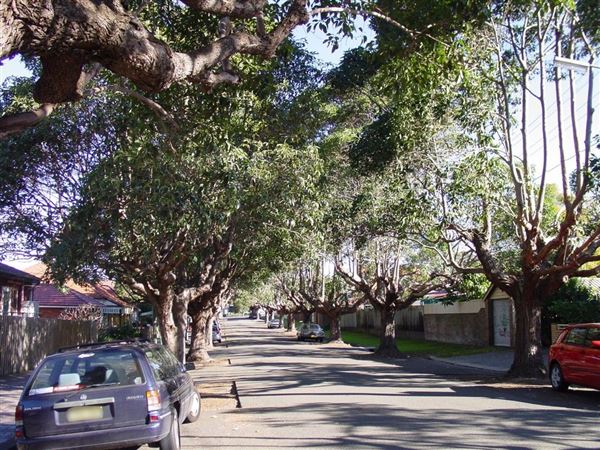 Marrickville Neighbourhood (7/03/2013 12:33:30 PM)