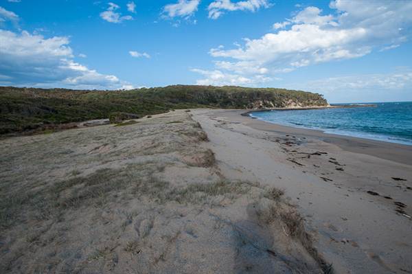Murramarang National Park (7/03/2013 2:20:15 PM)