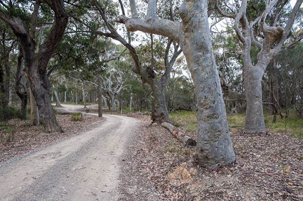 Murramarang National Park (7/03/2013 2:20:46 PM)