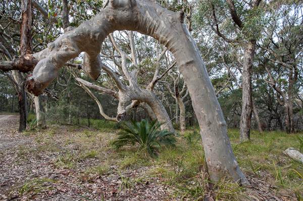 Murramarang National Park (7/03/2013 2:21:09 PM)