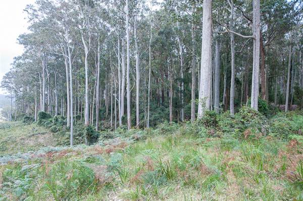 Murramarang National Park (7/03/2013 2:21:49 PM)