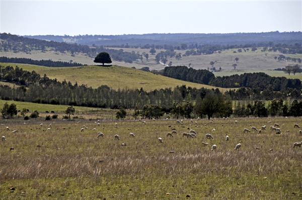 Oxley Highway (7/03/2013 3:33:49 PM)